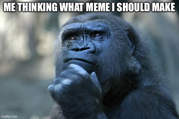 Deep Thoughts | ME THINKING WHAT MEME I SHOULD MAKE | image tagged in deep thoughts | made w/ Imgflip meme maker