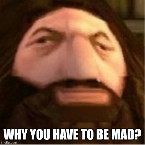 PS1 Hagrid | WHY YOU HAVE TO BE MAD? | image tagged in ps1 hagrid | made w/ Imgflip meme maker
