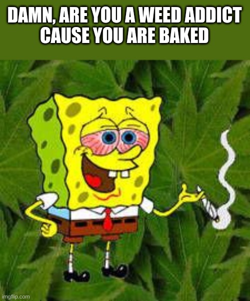 if you know, you know | DAMN, ARE YOU A WEED ADDICT

CAUSE YOU ARE BAKED | image tagged in weed | made w/ Imgflip meme maker