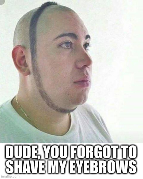 Now I just look like an idiot | DUDE, YOU FORGOT TO
SHAVE MY EYEBROWS | image tagged in halo ring barber | made w/ Imgflip meme maker