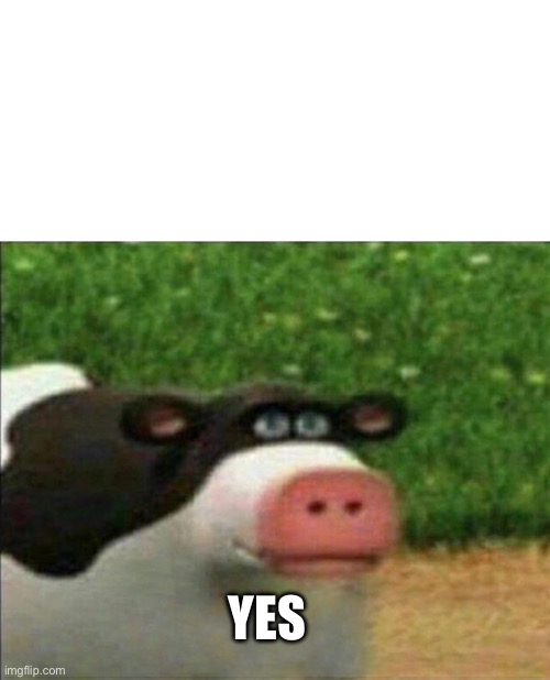 Perhaps cow | YES | image tagged in perhaps cow | made w/ Imgflip meme maker