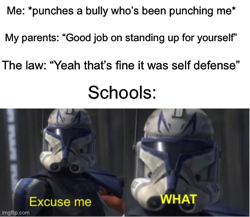 wHaT diD yOu dO?! |  Me: *punches a bully who’s been punching me*; My parents: “Good job on standing up for yourself”; The law: “Yeah that’s fine it was self defense”; Schools: | image tagged in excuse me what,memes,funny,true story,relatable memes,school | made w/ Imgflip meme maker