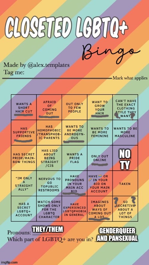 Closeted LGBTQ+ Bingo | NO TY; GENDERQUEER AND PANSEXUAL; THEY/THEM | image tagged in closeted lgbtq bingo | made w/ Imgflip meme maker