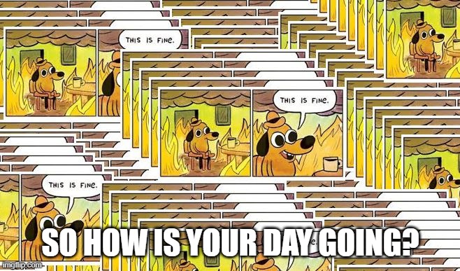 So How Is Your Day Going Imgflip