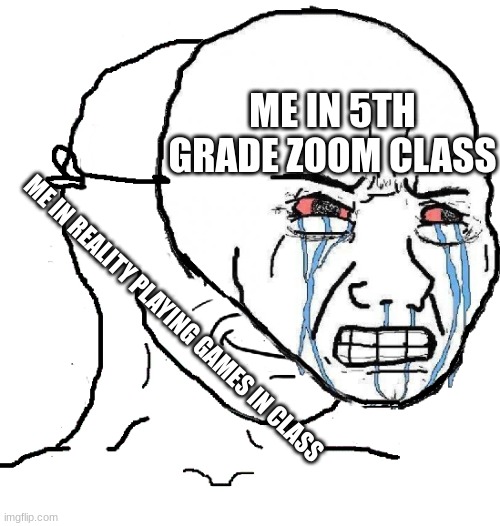 was this you? | ME IN 5TH GRADE ZOOM CLASS; ME IN REALITY PLAYING GAMES IN CLASS | image tagged in wojak mask | made w/ Imgflip meme maker