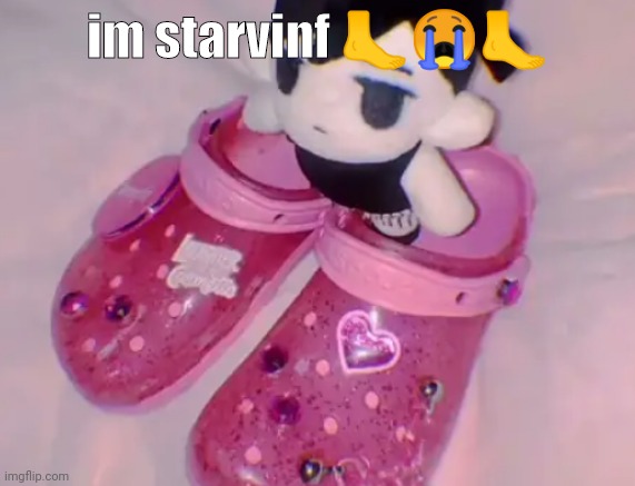 stairs | im starvinf 🦶😭🦶 | image tagged in stairs | made w/ Imgflip meme maker