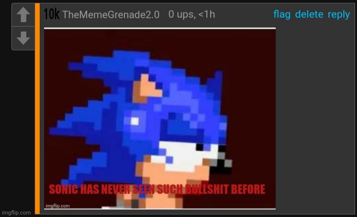 Sonic never seen bullshit | image tagged in sonic never seen bullshit | made w/ Imgflip meme maker