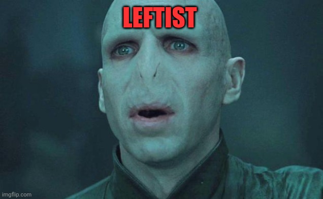 Voldemort | LEFTIST | image tagged in voldemort | made w/ Imgflip meme maker