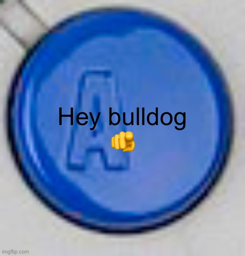 A button | Hey bulldog
🫵 | image tagged in a button | made w/ Imgflip meme maker