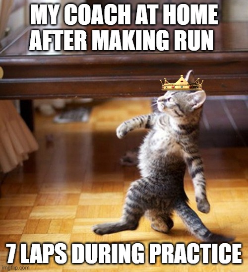 Cat Walking Like A Boss | MY COACH AT HOME AFTER MAKING RUN; 7 LAPS DURING PRACTICE | image tagged in cat walking like a boss | made w/ Imgflip meme maker