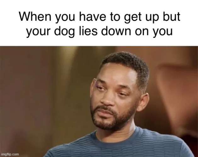 My leg fell asleep | image tagged in repost,dogs,memes,funny,will smith,fun | made w/ Imgflip meme maker