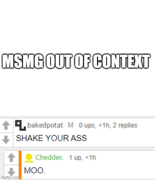 WTF | MSMG OUT OF CONTEXT | made w/ Imgflip meme maker