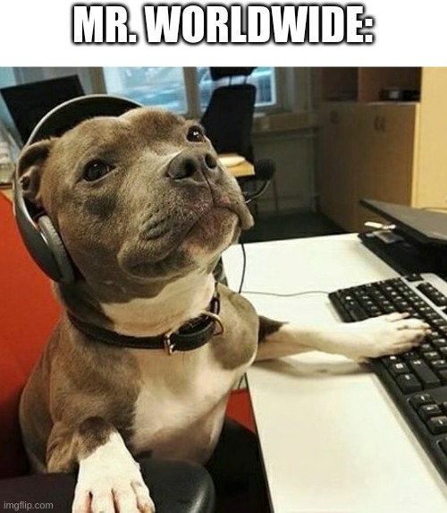 look at his cute smile | MR. WORLDWIDE: | image tagged in pit bull tech support | made w/ Imgflip meme maker