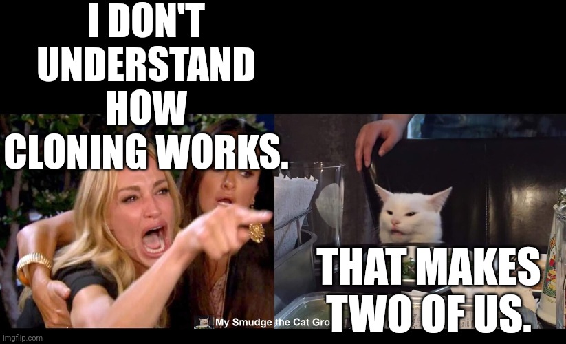 I DON'T UNDERSTAND HOW CLONING WORKS. THAT MAKES TWO OF US. | image tagged in smudge the cat | made w/ Imgflip meme maker