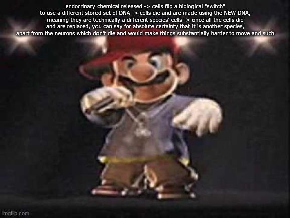 Gangsta Mario | endocrinary chemical released -> cells flip a biological "switch" to use a different stored set of DNA -> cells die and are made using the NEW DNA, meaning they are technically a different species' cells -> once all the cells die and are replaced, you can say for absolute certainty that it is another species, apart from the neurons which don't die and would make things substantially harder to move and such | image tagged in gangsta mario | made w/ Imgflip meme maker