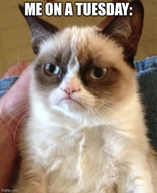 Grumpy Cat Meme | ME ON A TUESDAY: | image tagged in memes,grumpy cat | made w/ Imgflip meme maker