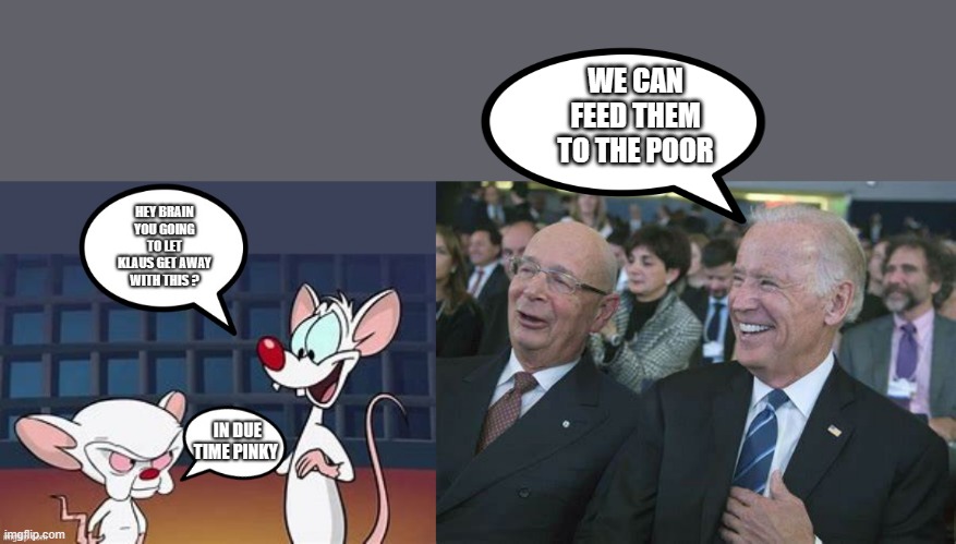 YOU WILL OWN NOTHING | WE CAN FEED THEM TO THE POOR | image tagged in democrats,nwo | made w/ Imgflip meme maker