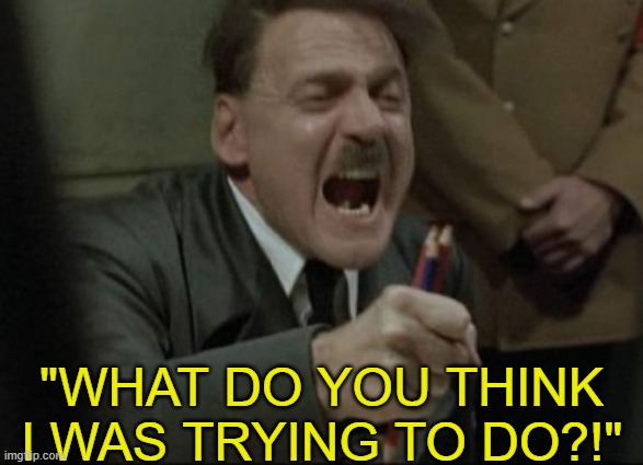 When furry and lgbbq: | "WHAT DO YOU THINK I WAS TRYING TO DO?!" | image tagged in hitler downfall,joke | made w/ Imgflip meme maker