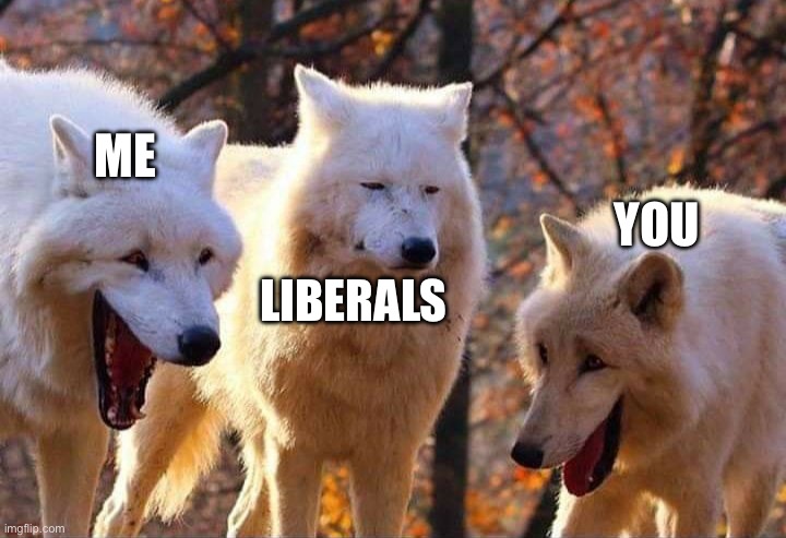 Laughing wolf | ME LIBERALS YOU | image tagged in laughing wolf | made w/ Imgflip meme maker