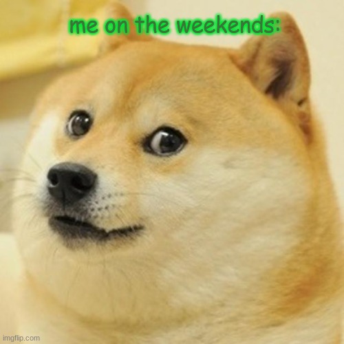 Doge | me on the weekends: | image tagged in memes,doge | made w/ Imgflip meme maker