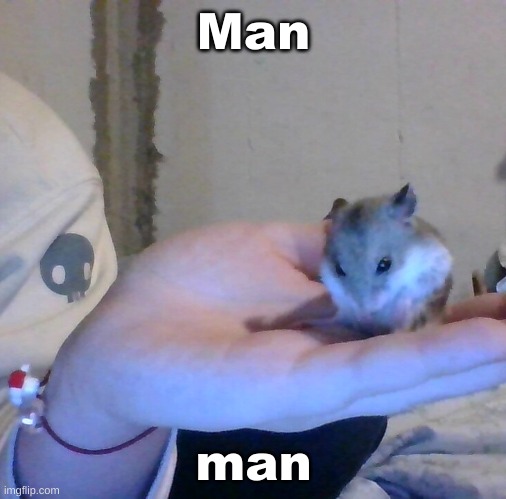 Hampter | Man; man | image tagged in hampter | made w/ Imgflip meme maker