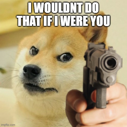 Doge holding a gun | I WOULDNT DO THAT IF I WERE YOU | image tagged in doge holding a gun | made w/ Imgflip meme maker