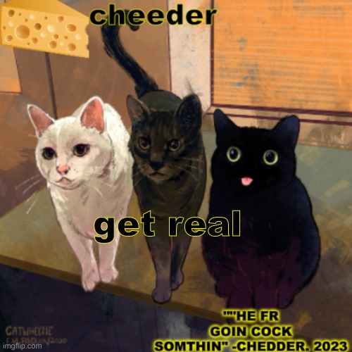 goofy cats temp | get real | image tagged in goofy cats temp | made w/ Imgflip meme maker
