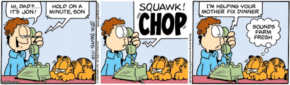 Garfield Comic #13 | image tagged in garfield,comics/cartoons | made w/ Imgflip meme maker