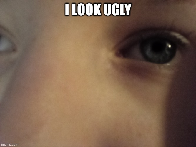 I LOOK UGLY | made w/ Imgflip meme maker