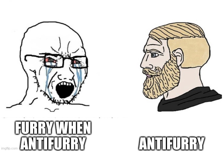 Soyboy Vs Yes Chad | ANTIFURRY; FURRY WHEN ANTIFURRY | image tagged in soyboy vs yes chad | made w/ Imgflip meme maker