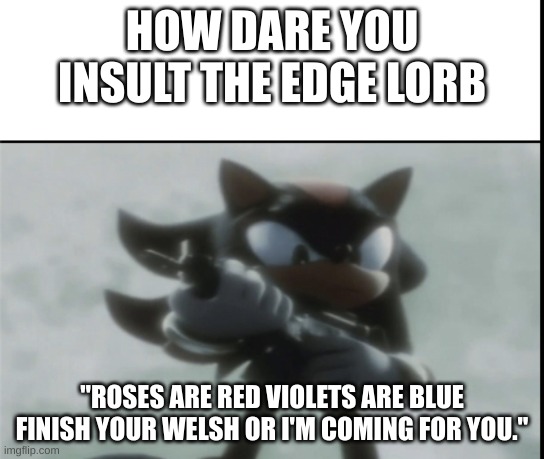 Angry Shadow Meme | HOW DARE YOU INSULT THE EDGE LORB "ROSES ARE RED VIOLETS ARE BLUE FINISH YOUR WELSH OR I'M COMING FOR YOU." | image tagged in angry shadow meme | made w/ Imgflip meme maker