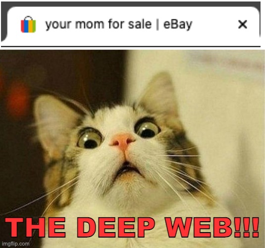 Wtf EBAY??? | THE DEEP WEB!!! | image tagged in memes,scared cat | made w/ Imgflip meme maker