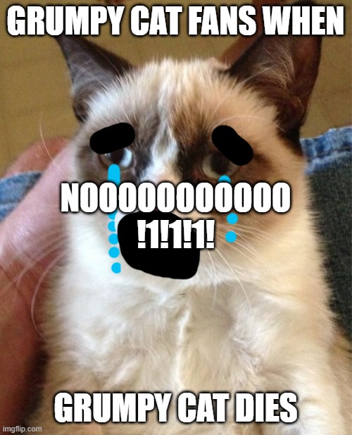 Grumpy Cat Meme | GRUMPY CAT FANS WHEN GRUMPY CAT DIES NOOOOOOOOOOO
!1!1!1! | image tagged in memes,grumpy cat | made w/ Imgflip meme maker