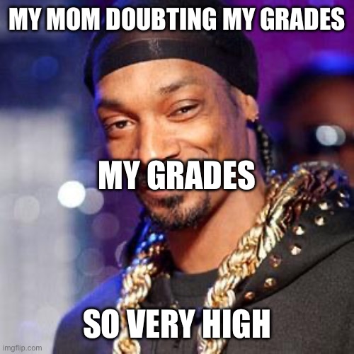 Bruh look whose got a 4.0 | MY MOM DOUBTING MY GRADES; MY GRADES; SO VERY HIGH | image tagged in snoop dogg | made w/ Imgflip meme maker