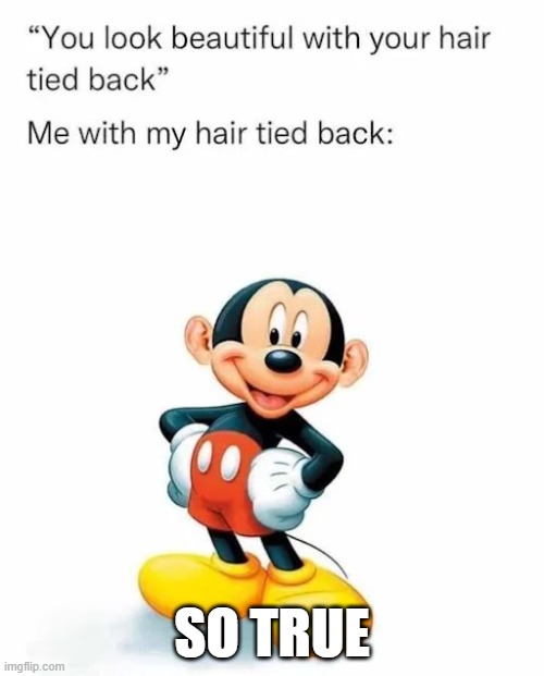 Mickey Mouse | SO TRUE | image tagged in mickey mouse | made w/ Imgflip meme maker