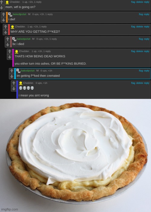 DONT LOOK UP CREAM PIE IN GOOGLE WORST MISTAKE OF MY LIFE | image tagged in cream pie | made w/ Imgflip meme maker