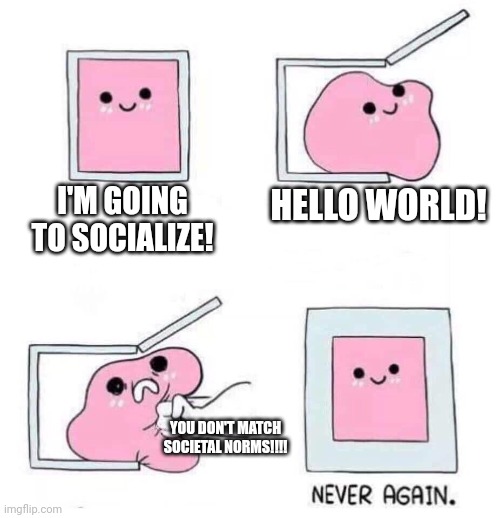 Introvert tries to socialize | I'M GOING TO SOCIALIZE! HELLO WORLD! YOU DON'T MATCH SOCIETAL NORMS!!!! | image tagged in never again | made w/ Imgflip meme maker