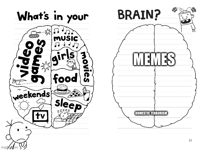 Diary of a wimpy kid brain | MEMES; DOMESTIC TERRORISM | image tagged in diary of a wimpy kid brain | made w/ Imgflip meme maker