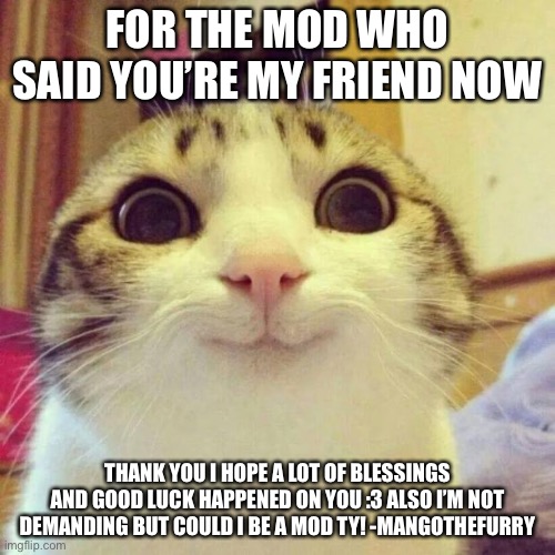 Smiling Cat Meme | FOR THE MOD WHO SAID YOU’RE MY FRIEND NOW; THANK YOU I HOPE A LOT OF BLESSINGS AND GOOD LUCK HAPPENED ON YOU :3 ALSO I’M NOT DEMANDING BUT COULD I BE A MOD TY! -MANGOTHEFURRY | image tagged in memes,smiling cat | made w/ Imgflip meme maker