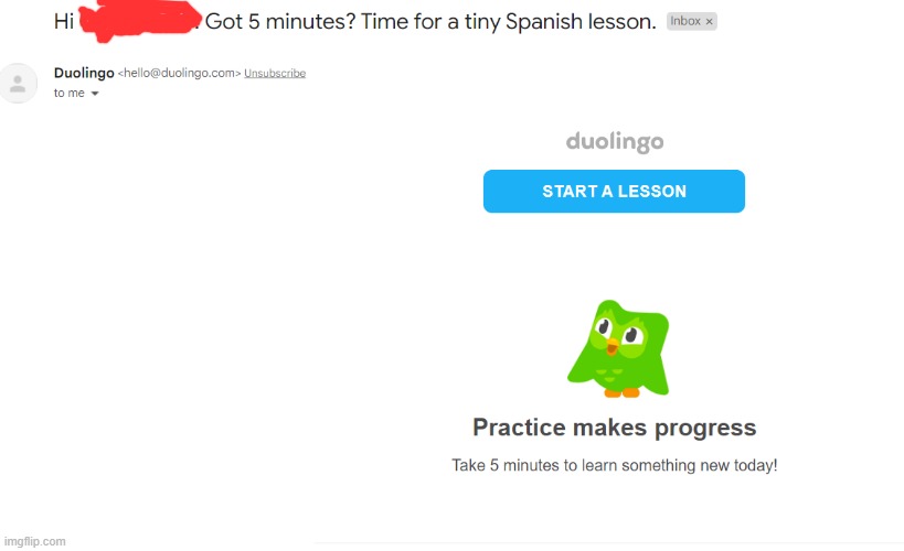 Duolingo just e-mailed me guys I don't know if I will last any longer | image tagged in duolingo | made w/ Imgflip meme maker