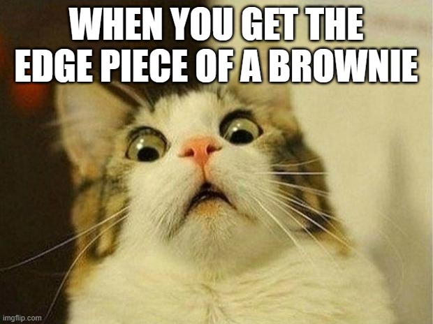 honestly a corner piece would have been even worse | WHEN YOU GET THE EDGE PIECE OF A BROWNIE | image tagged in memes,scared cat,cat,meme,brownies,oh wow are you actually reading these tags | made w/ Imgflip meme maker