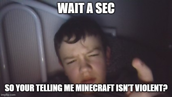 'What the heck?' Henry | WAIT A SEC; SO YOUR TELLING ME MINECRAFT ISN'T VIOLENT? | image tagged in 'what the heck' henry | made w/ Imgflip meme maker