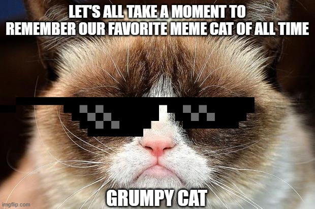 R. I. P. Grumpy Cat *sniff* ;-; | LET'S ALL TAKE A MOMENT TO REMEMBER OUR FAVORITE MEME CAT OF ALL TIME; GRUMPY CAT | image tagged in memes,grumpy cat not amused,grumpy cat,sunglasses,cat,cats are awesome | made w/ Imgflip meme maker