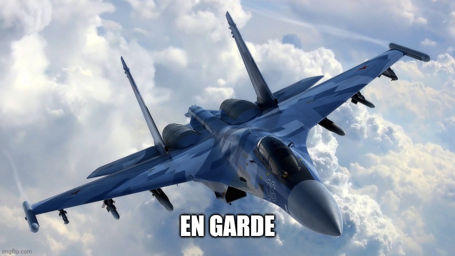 Fighter Jet | EN GARDE | image tagged in fighter jet | made w/ Imgflip meme maker