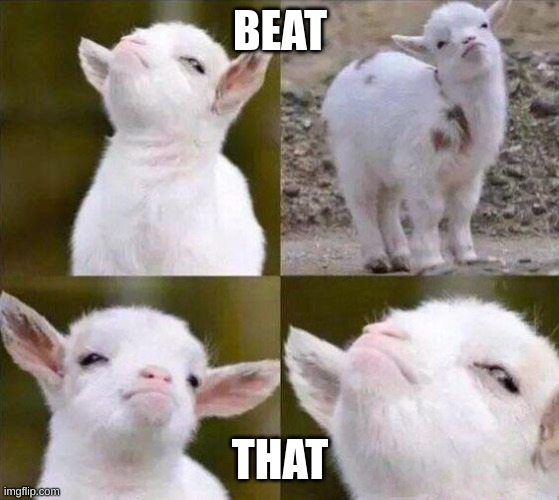 Smug Goat | BEAT THAT | image tagged in smug goat | made w/ Imgflip meme maker