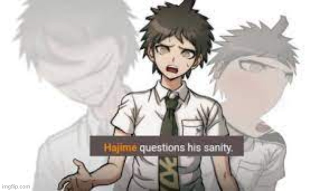hajime questions his sanity | image tagged in hajime questions his sanity | made w/ Imgflip meme maker