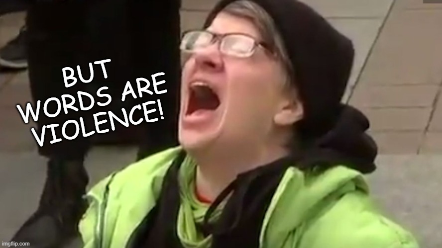 Screaming Liberal  | BUT WORDS ARE VIOLENCE! | image tagged in screaming liberal | made w/ Imgflip meme maker