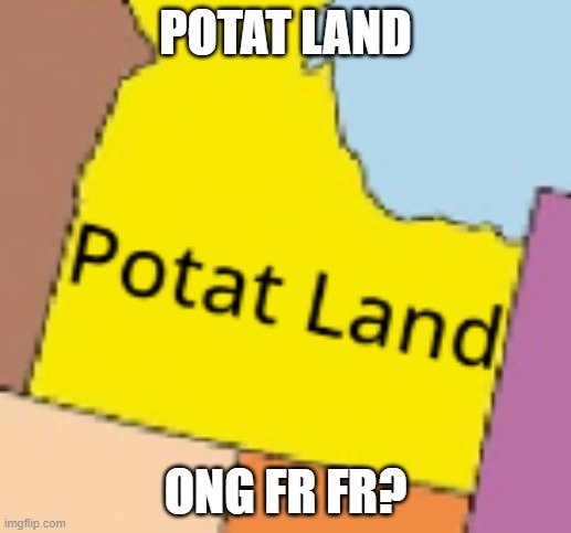 made as a typo by me that i decided will stay | POTAT LAND; ONG FR FR? | made w/ Imgflip meme maker