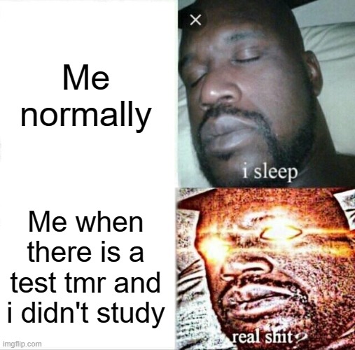 I mean it's true | Me normally; Me when there is a test tmr and i didn't study | image tagged in memes,sleeping shaq | made w/ Imgflip meme maker