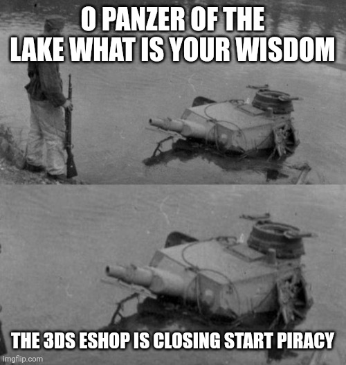 3ds piracy |  O PANZER OF THE LAKE WHAT IS YOUR WISDOM; THE 3DS ESHOP IS CLOSING START PIRACY | image tagged in panzer of the lake | made w/ Imgflip meme maker
